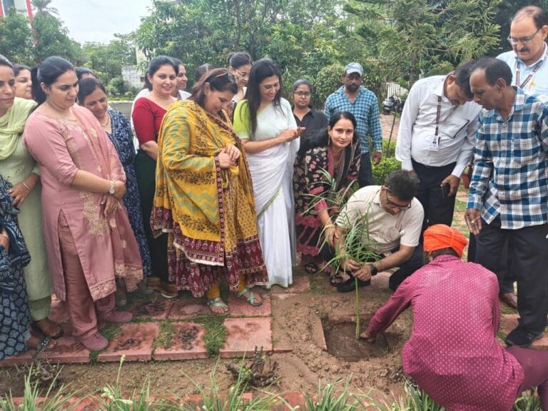 माउंट कार्मल स्कूल जीरकपुर में वन महोत्सव का आयोजन