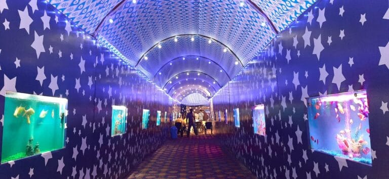 मनीमाजरा में पहली बार लगा है सी वर्ल्ड कार्निवाल