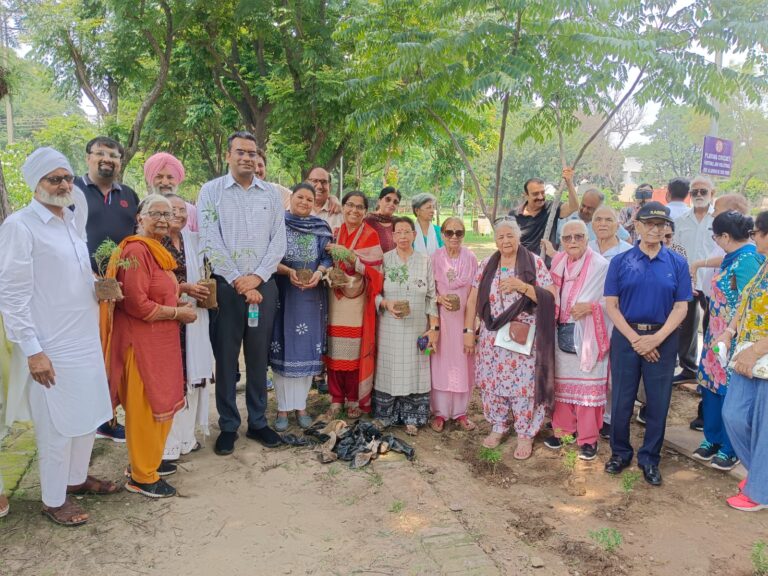 पौधरोपण अभियान के अंतर्गत लगाए 100 पौधे